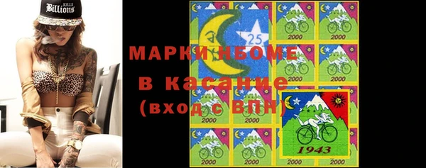 2c-b Горно-Алтайск